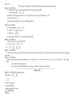 Đề thi HK II toán 6 hay nhất( có dáp án)