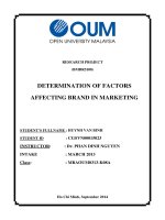 Determination of factors affecting brand in marketing 