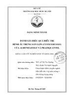 Đánh giá hiệu quả điều trị bệnh ấu trùng sán lợn (cysticercosis) của albendazole và praziquantel