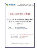 Phát triển hoạt động bán hàng tại công ty TNHH sản xuất thương mại dịch vụ kiều an 