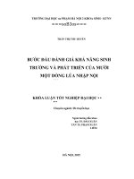 Khoá luận tốt nghiệp bước đầu đánh giá khả năng sinh trưởng và phát triển của 11 dòng lúa nhập nội 