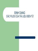 Bài giảng định dạng các files của tài liệu điện tử