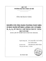 Nghiên cứu ứng dụng phương pháp điện di mao quản để định lượng các vitamin b1, b2, b6, PP trong chế phẩm thuốc tiêm becozyme