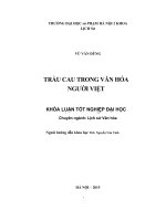 Khoá luận tốt nghiệp trầu cau trong văn hóa việt