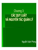 Các quy luật và nguyên tắc quản lý