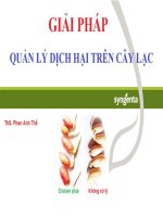 Bài giảng giải pháp quản lý dịch hại trên cây lạc   ths  phan anh thế
