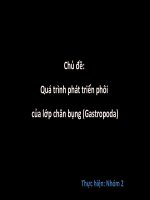 Chủ đề quá trình phát triển phôi của lớp chân bụng (gastropoda)