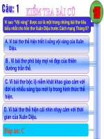 Lập luận bác bỏ