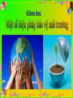 Một số biện pháp bảo vệ môi trường