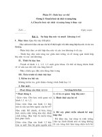 Giáo án điện tử sinh lớp 11