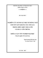 Nghiên cứu đánh giá một số dòng ngô chuyển gen kháng sâu cry1a (c) trong điều kiện nhà lưới cách ly côn trùng (KL07015)
