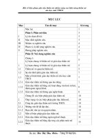 một số biện pháp giáo dục thẩm mỹ nhằm nâng cao khả năng thẩm mỹ cho học sinh THCS