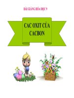 Bài giảng các oxit của cacbon 