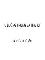 Bài giảng u buồng trứng và thai kỳ   nguyễn thị từ vân