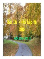 Bài giảng hô hấp tế bào sinh học 10 
