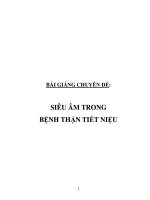 Bài giảng chuyên đề siêu âm trong bệnh thận tiết niệu