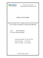 Một số giải pháp nhằm nâng cao hiệu quả quản trị nguồn nhân lực tại công ty TNHH đầu tư thương mại điền phú 