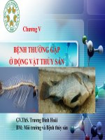 Bệnh do môi trường, dinh dưỡng và dịch hại gây ra trên động vật thủy sản (bệnh không truyền nhiễm)
