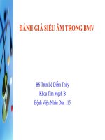 Bài giảng đánh giá siêu âm trong BMV   BS  trần lệ diễm thúy