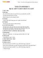 Giáo án sinh học 9 bài ADN và bản chất của gen 