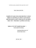 Khoá luận tốt nghiệp nghiên cứu khả năng sinh trưởng và phát triển của 06 dòng lúa được tạo ra bằng phương pháp lai hữu tính tại xã cao minh   phúc yên   vĩnh phúc vụ đông xuân 2014 