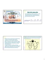 Bài giảng sinh sản vật nuôi  quá trình mang thai   phan vũ hải