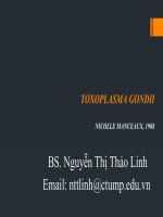 Bài giảng toxoplasma gondii   BS  nguyễn thị thảo linh