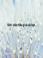Bài Thuyết Trình Vai Trò Của Nấm