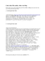 Code chèn File audio, video vào blog