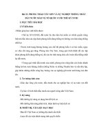 bài 23. Phong trào tây Sơn và sự nghiệp thống nhất đất nước (10CB)