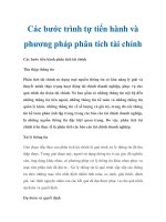 trình tự tiến hành và phương pháp phân tích tài chính