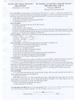 ĐỀ THI HSG  HÓA  11 THPT THUẠN THÀNH 1