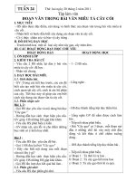 tuần 24. . chuẩn KTKN chỉ việc in