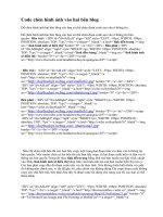 Code chèn hình ảnh vào hai bên blog