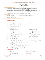 Lý thuyết chương tích phân