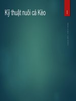 Bài thuyết trình kỹ thuật nuôi cá kèo