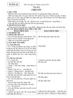 tuần 23. . chuẩn KTKN chỉ việc in