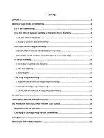 Tỉm hiểu Tiểu luận về maketing