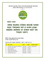 Ứng dụng công nghệ sinh học trong xử lí kim loại nặng (bằng vi sinh vật và thực vật)