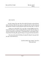 Máy bay cánh delta ổn định và điều khiển ở vận tốc thấp