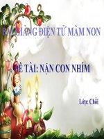 Bài giảng điện tử mầm non lớp Chồi đề tài Nặn con nhím