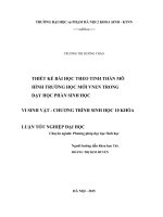Thiết kế bài học theo tinh thần mô hình trường học mới VNEN trong dạy học phần sinh học vi sinh vật   chương trình sinh học 10