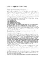 Kinh nghiệm rèn chữ viết