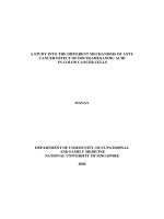 A study into the different mechanisms of anti cancer effect of docosahexanoic acid in colon cancer cells