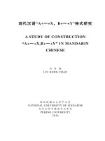 A STUDY OF CONSTRUCTION A+YI(ONE)+X,B+YI(ONE)+Y IN MANDARIN CHINESE