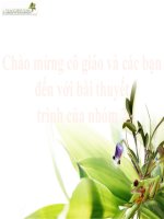 Bài thuyết trình đặc điểm và vai trò của ngành giun đốt