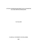 A study of photomask defects on nanometer feature photolithography