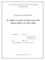 Sự nhiễm độc tố kim loại nặng trong động vật thủy sinh
