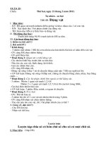 GA lớp 1 T25 đến tT30   Song