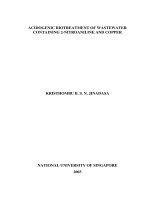 Acidogenic biotreatment of wastewater containing 2 nitroaniline and copper